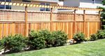 High Fence with Trellis Top