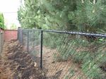 Chainlink Fence